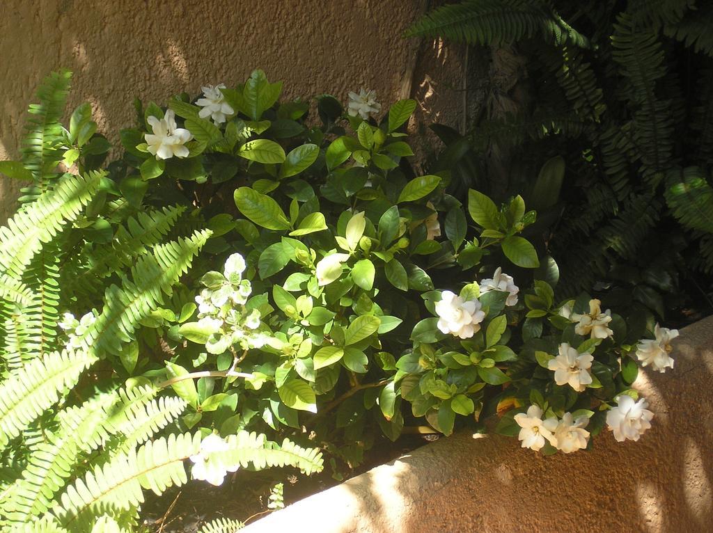 Altea Hills Villa Casablanca 23 외부 사진